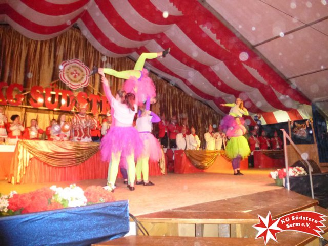 06.02.2016 - Narrenkarussell