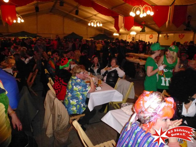 06.02.2016 - Narrenkarussell