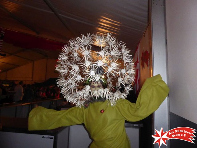 25.02.2017 - Sermer Narrenkarussell