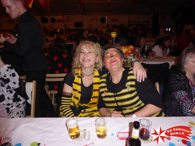 25.02.2017 - Sermer Narrenkarussell