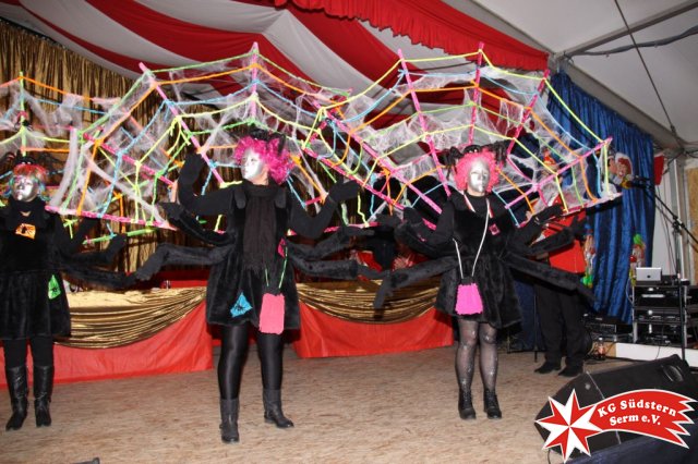 27.02.2017 - Sermer Maskenball