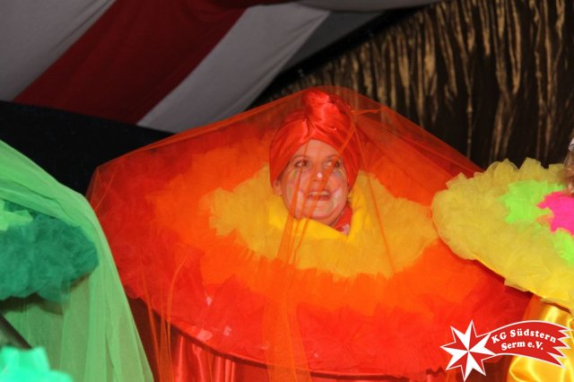 27.02.2017 - Sermer Maskenball