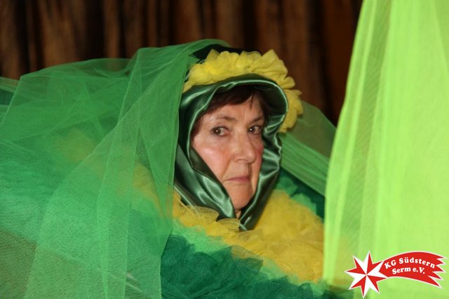 27.02.2017 - Sermer Maskenball