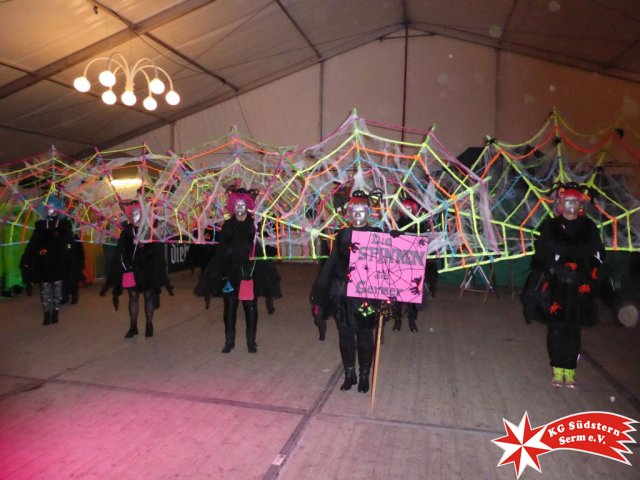 27.02.2017 - Sermer Maskenball