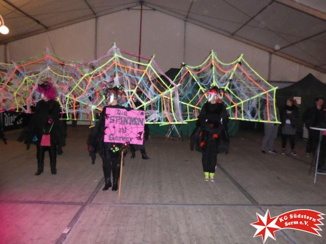 27.02.2017 - Sermer Maskenball