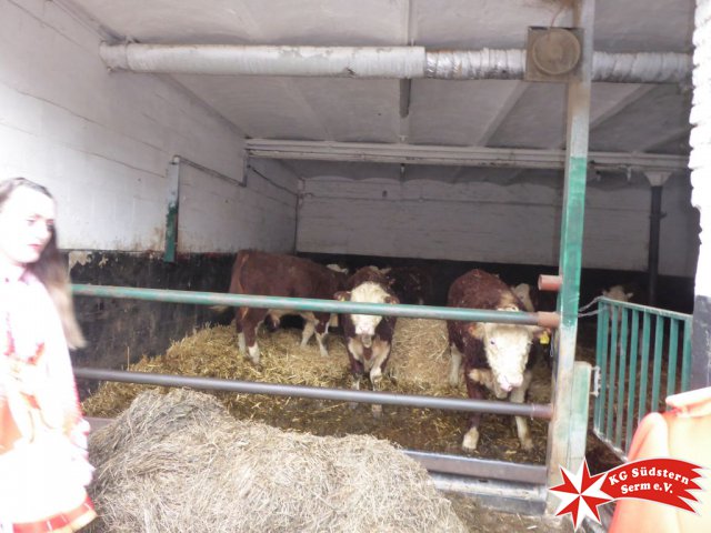 22.02.2020 - Bei Familie Greilich