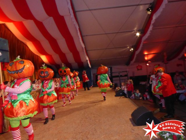 24.02.2020 - Sermer Maskenball