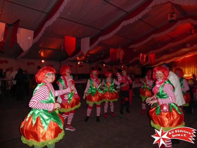 24.02.2020 - Sermer Maskenball